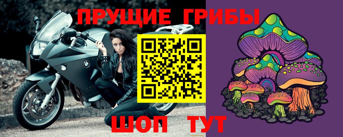 Псилоцибиновые грибы Psilocybe Новоуральск